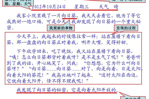 观察日记三年级
