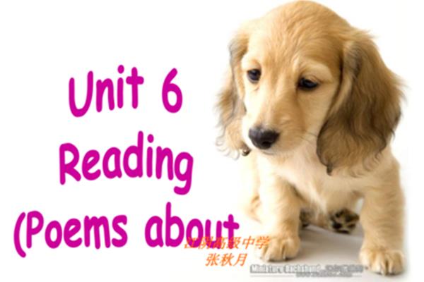 pets英语