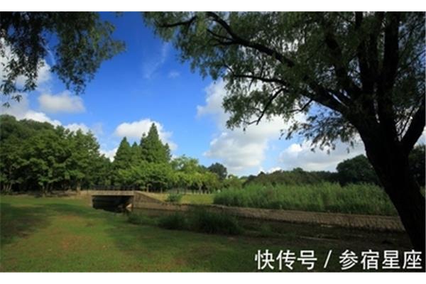 绿树阴浓夏日长