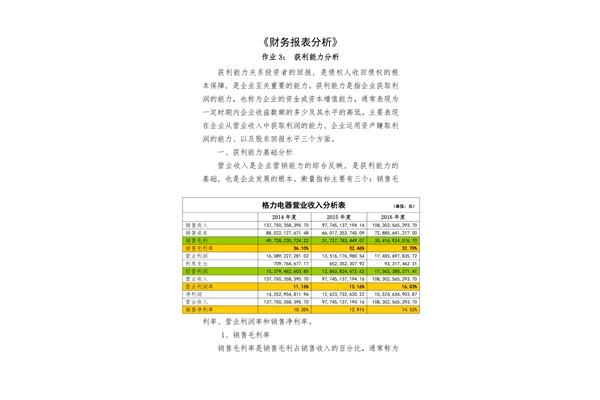 财务报表分析报告