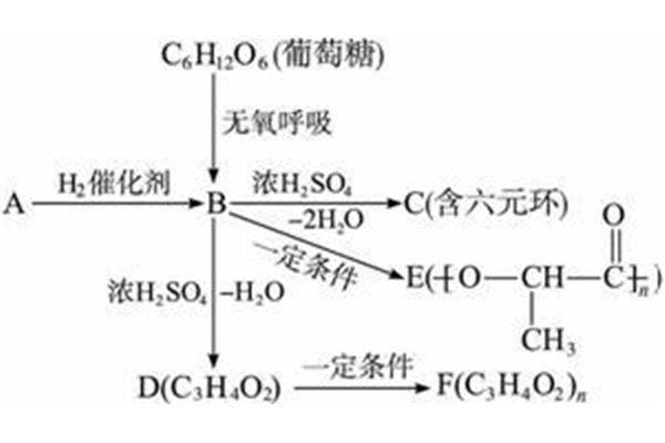 光合作用化学式