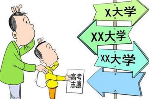 高考专业选择