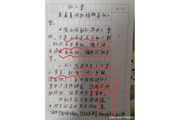 作文我的植物朋友
