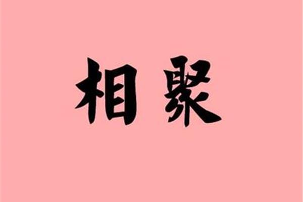 相聚的近义词