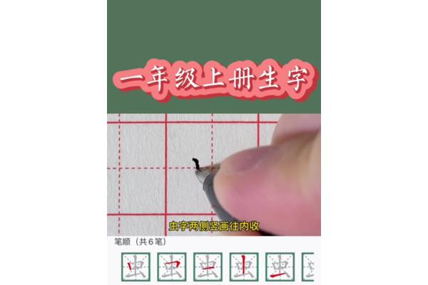 虫字的笔顺