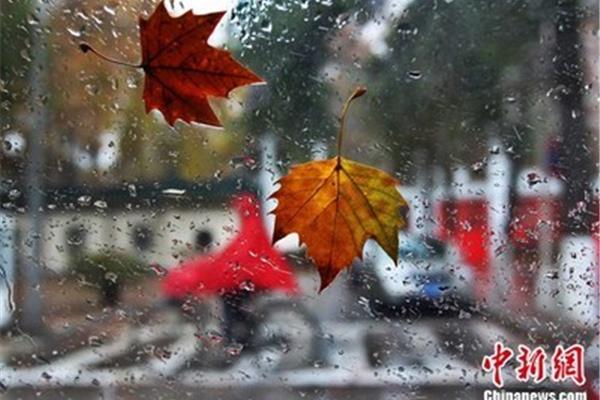 雨中的请求