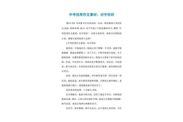 对手的作文