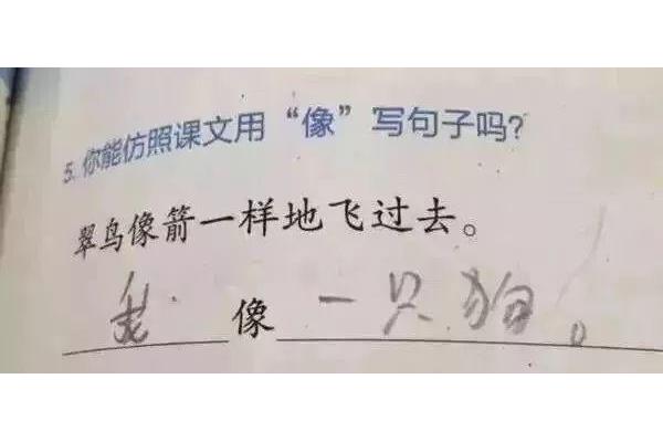 如果那么造句