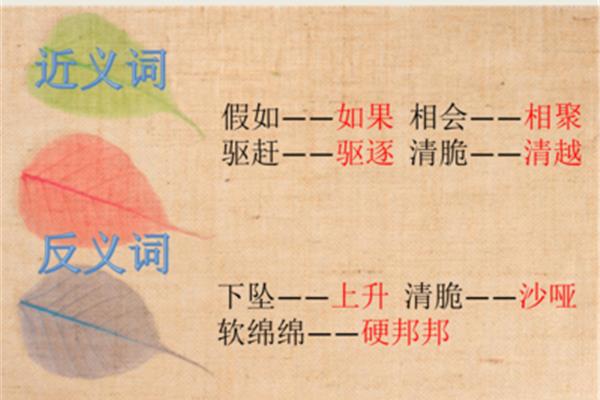 相聚的近义词