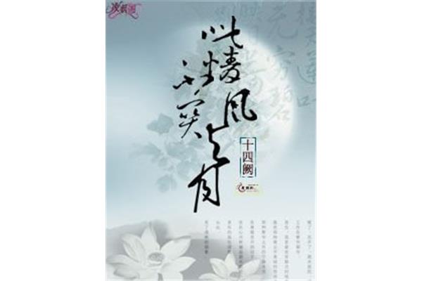 不关风与月
