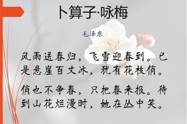 卜算子咏梅翻译