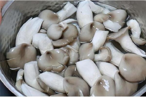 蘑菇怎么洗