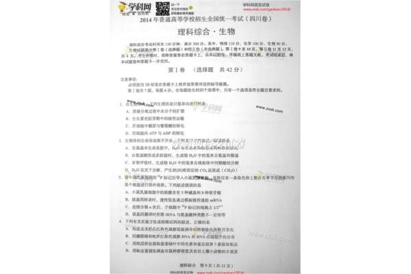 四川高考试卷
