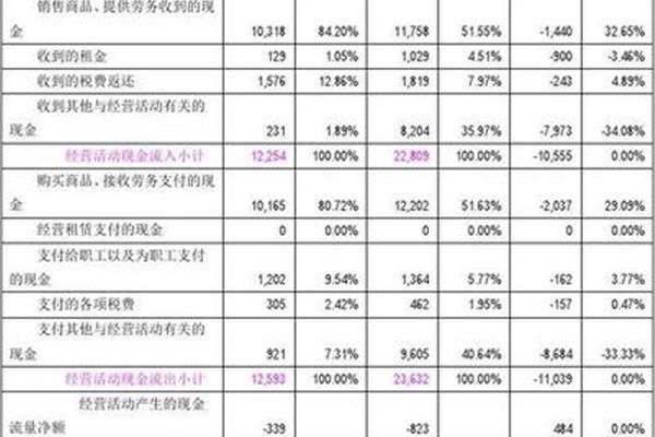 财务报表分析报告