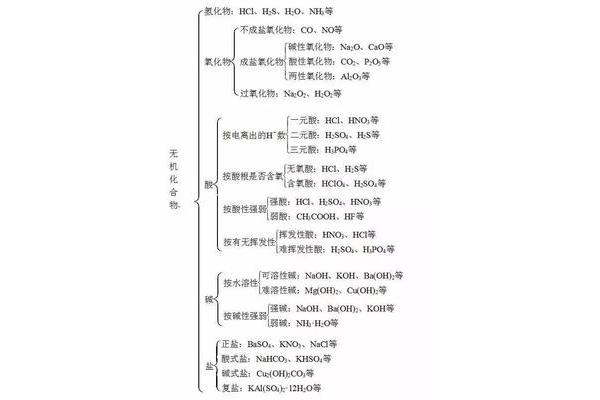 高一化学知识点