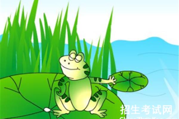 骄傲的青蛙