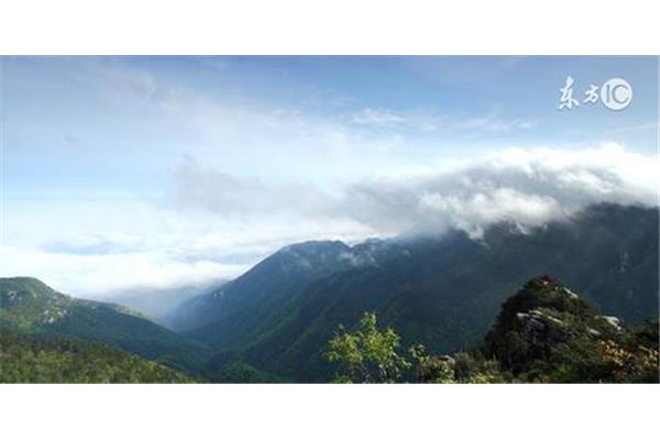 只因身在此山中