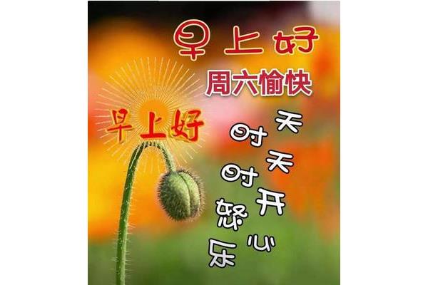 周末祝福短信