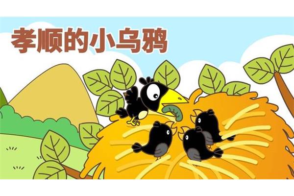 孝顺的小乌鸦