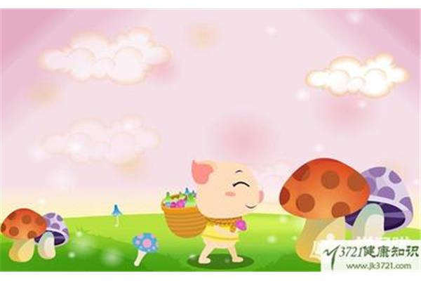 小猪吃糖的故事
