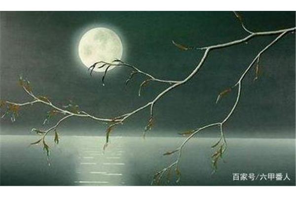 不关风与月