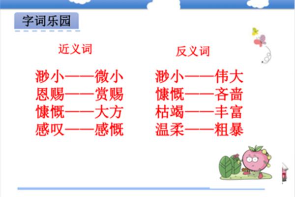 微小的反义词