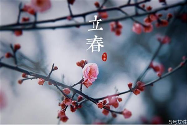 立春是什么生肖