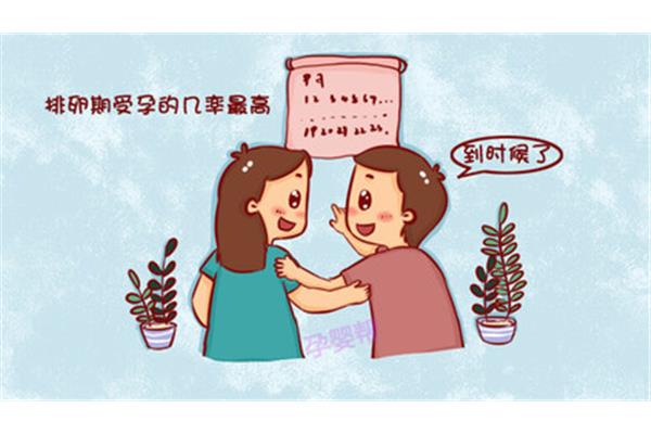 人力资源实习周记