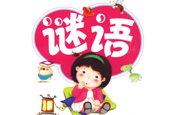 米汤淋头打一明星