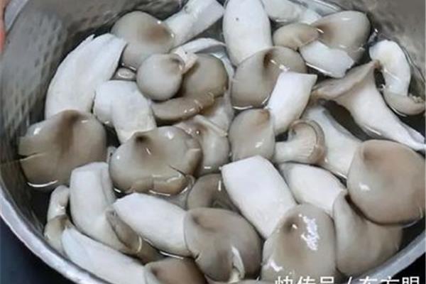 蘑菇怎么洗