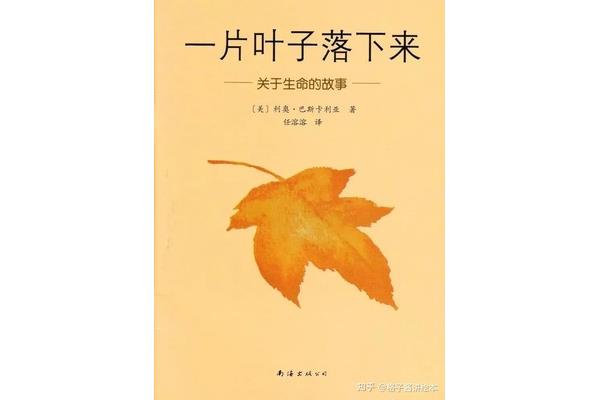 一片叶子落下来