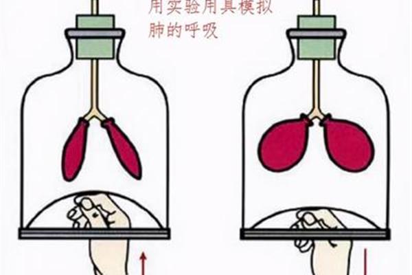 怎么增加肺活量
