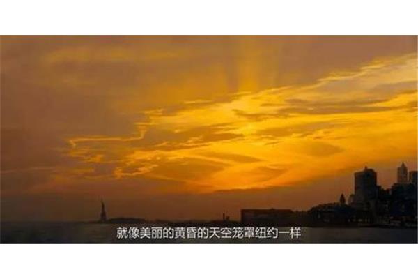 舅舅我爱你