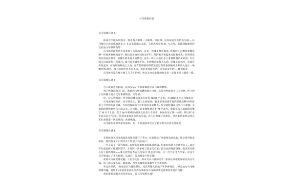 兵马俑观后感
