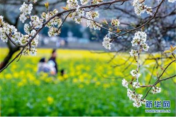 春暖花开最新