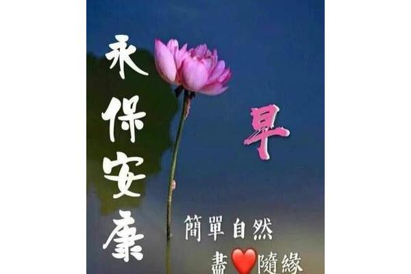 怎么说早安最撩人