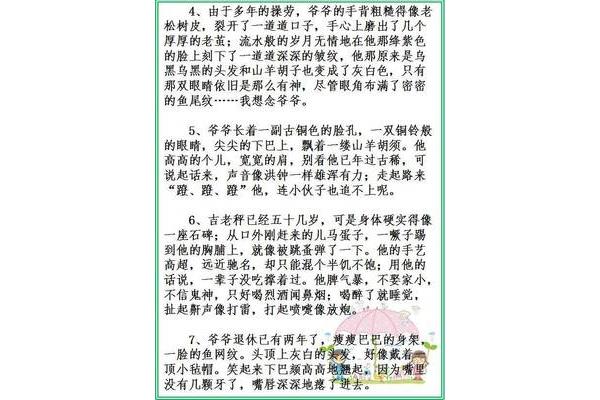 细节描写片段