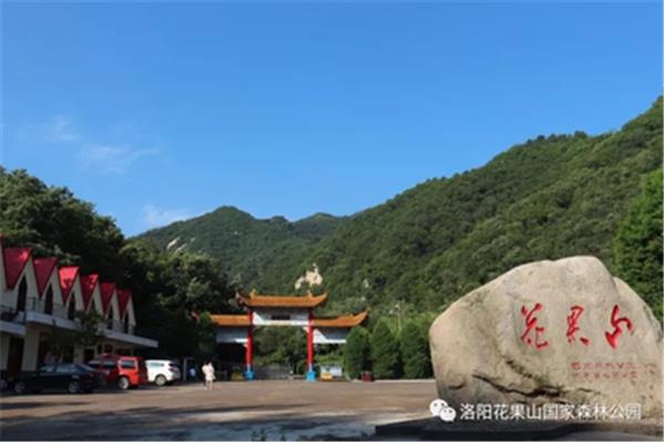 宜阳县政府网