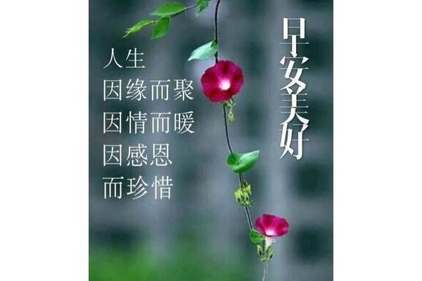 怎么说早安最撩人