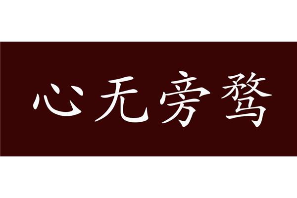 带志的成语