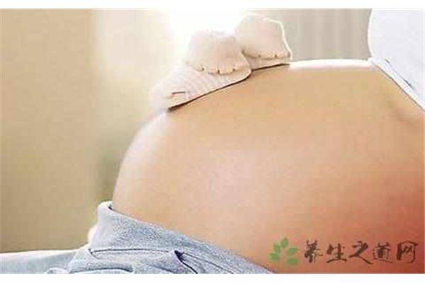一般几周入盆