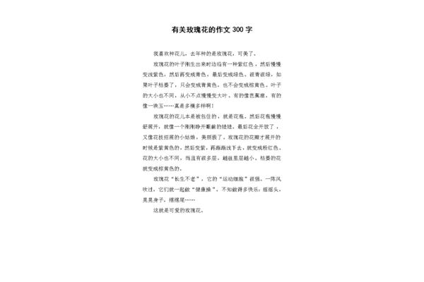 玫瑰花作文
