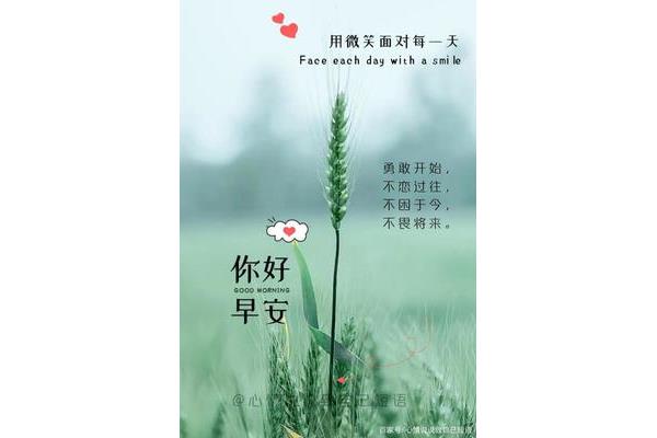 每日早上问候语