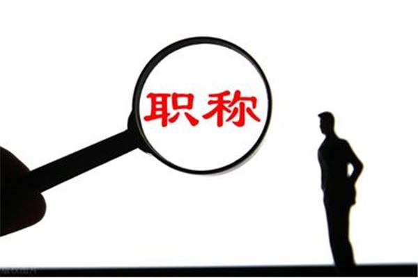 事业单位副科