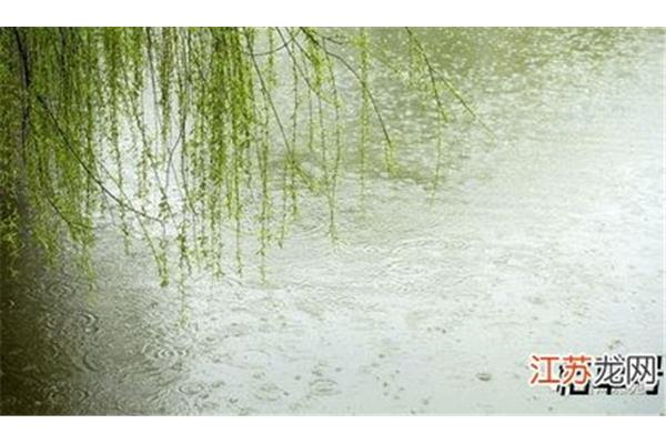 关于春雨的诗