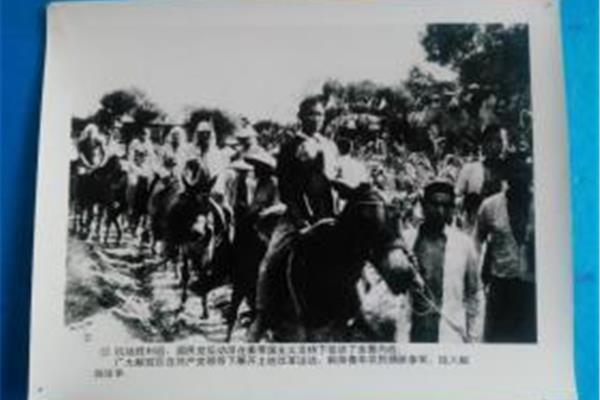 勇跃与踊跃的区别