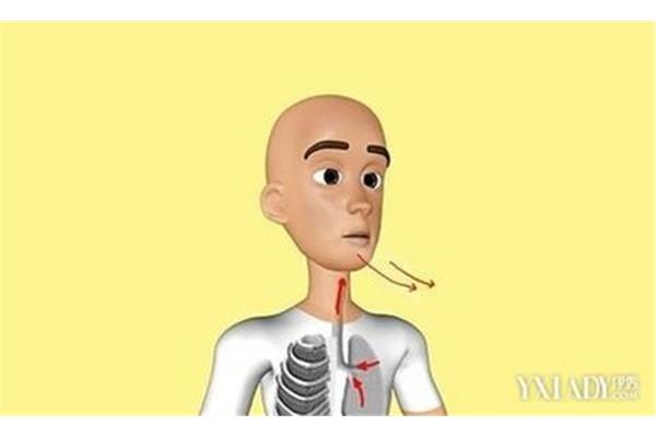 怎么增加肺活量
