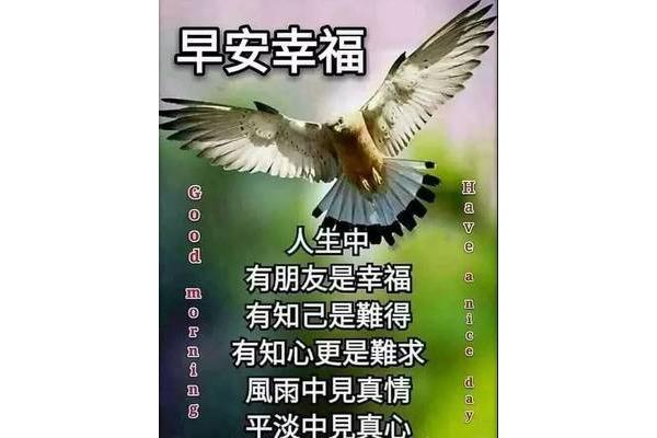 每日早上问候语