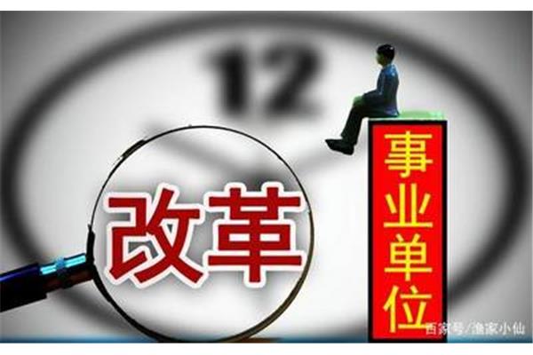 事业单位副科