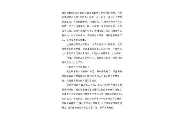 玫瑰花作文